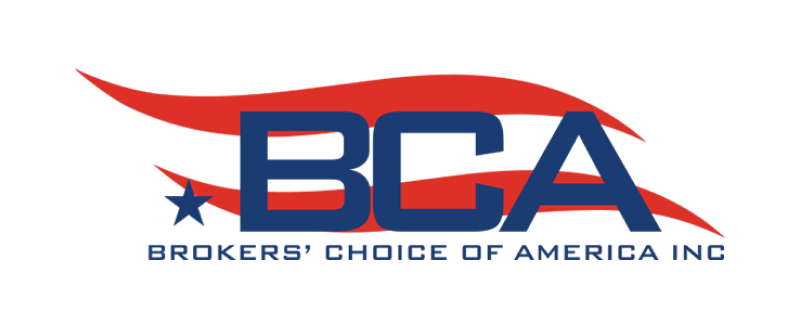 BCA Logo
